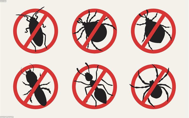 Common household pests